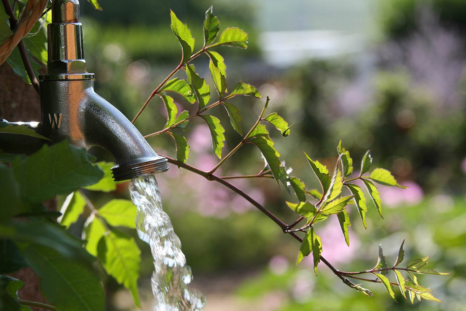 Wasserhahn in Garten